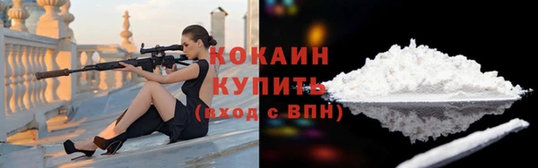 мдпв Кодинск