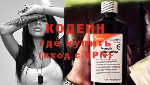 мдпв Кодинск