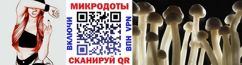 Галлюциногенные грибы мицелий Купить Невельск